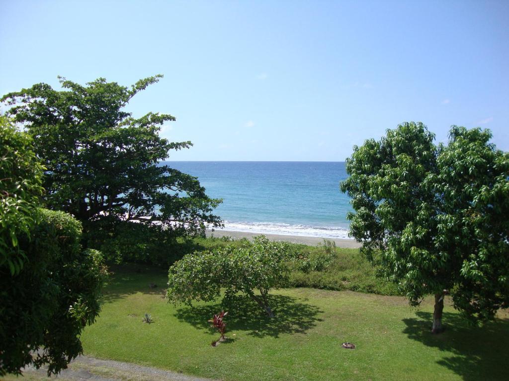 By The Sea Vacation Home And Villa Порт Антонио Стая снимка